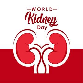 World Kidney Day 2024: Experts Recommend Ways to Prevent Kidney Diseases