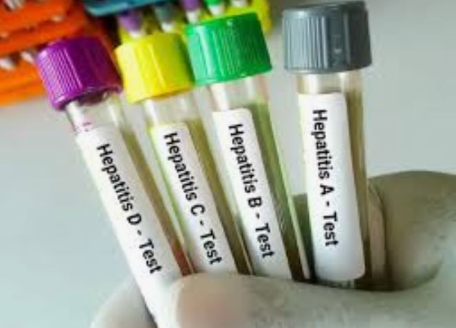 5 Points Guidelines For HBV Prevention, Care, Treatment You Must Know