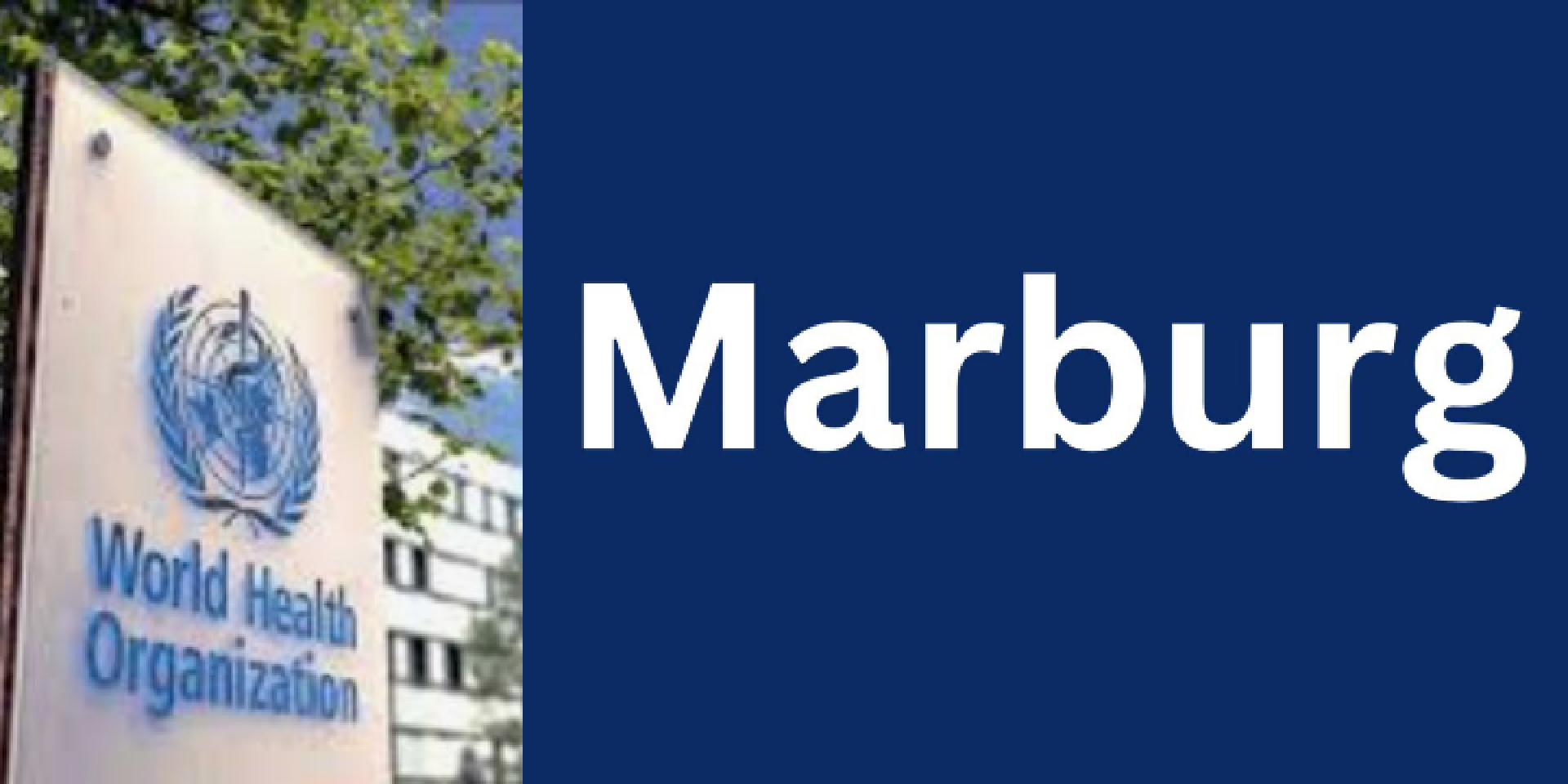 Marburg Virus – WHO Says No Vaccine, Treatment For Disease