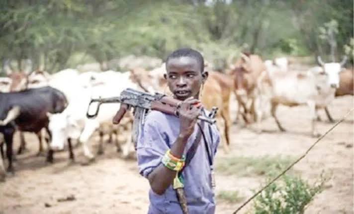 Herdsmen Launch Fresh Attack on Benue Community, Residents Flee