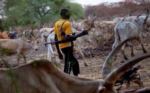 INSECURITY: At Least 40 Feared Dead As Farmers Herders Clash In Taraba