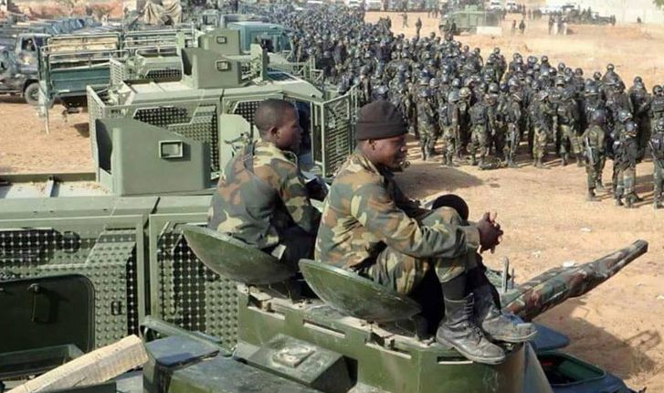 900 Rustled Cattles Recover By Security Operatives After Gun Battle with Bandits in Zamfara 