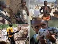 Agbede Community Raises Concern Over Herdsmen Attacks, Calls For Removal Of DPO