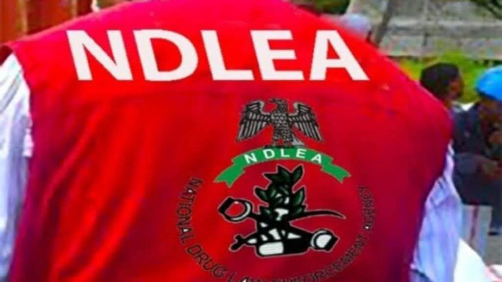 NDLEA Arrests One Foreign Drug Trafficker, 39 Others
